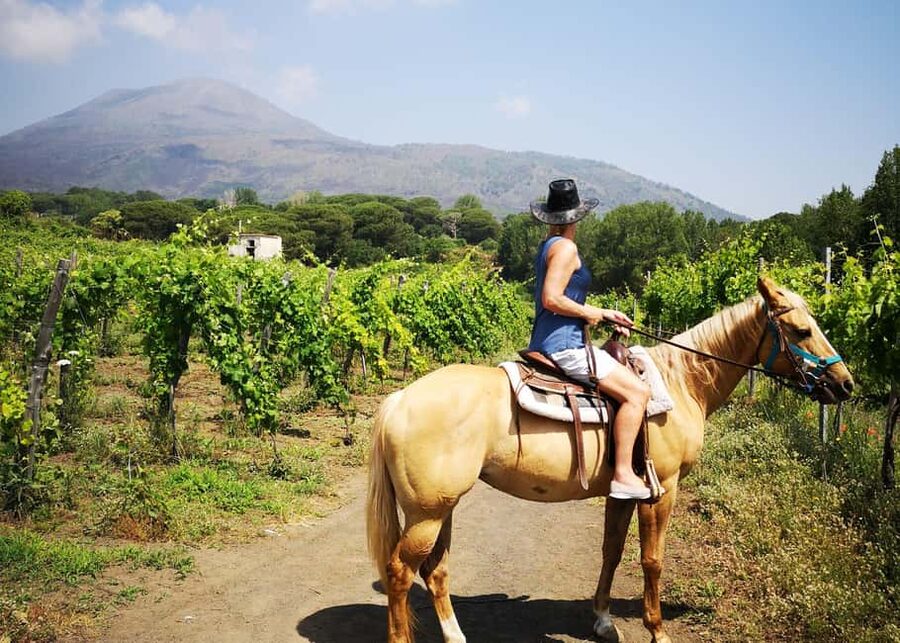 Horseback Ride on Mt. Vesuvius - Price: $81 per person and what you’re really paying for