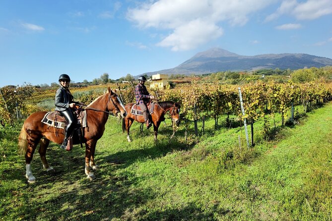 Horseback Riding on Mt. Vesuvius with Wine Tasting and Dinner - Key highlights before you go