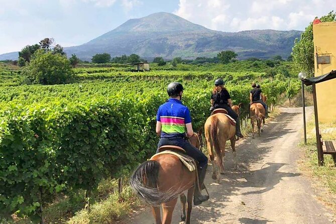 Horseback Riding on Mt. Vesuvius with Wine Tasting and Dinner - Wine tasting with dinner: why the pairing feels like real Italy