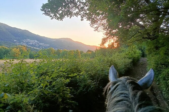 Horseback Riding on Mt. Vesuvius with Wine Tasting and Dinner - Price and value: is $170.37 a good deal?