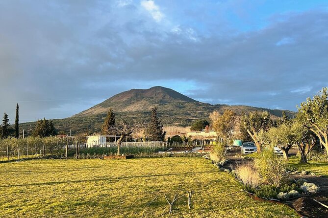 Horseback Riding on Mt. Vesuvius with Wine Tasting and Dinner - Group size, guide attention, and what that means for you