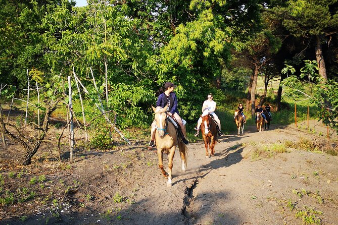 Horseback Riding on Vesuvius - Weather, comfort, and how to schedule this in a Pompeii day
