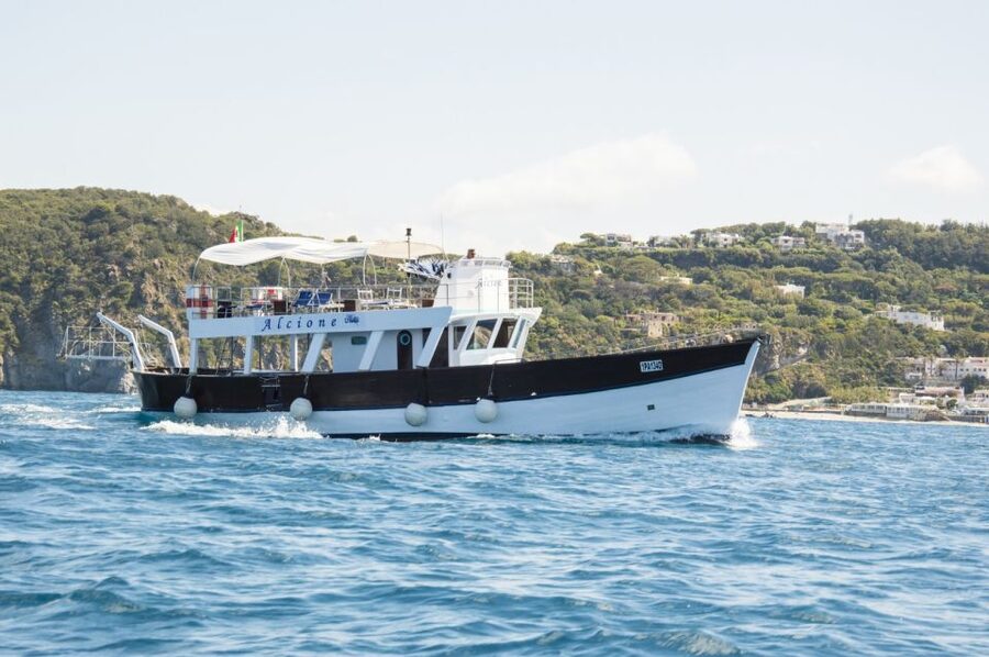 Ischia: Island Boat Tour with Neapolitan Lunch & Snorkeling - Who This Tour Fits Best (and Who Should Skip It)
