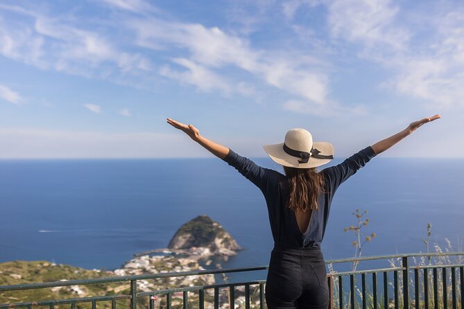 Ischia Private Day Trip with Guide and Driver from Naples Port - Key highlights that make this Ischia day trip click