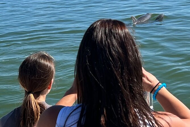 Island Paradise: Dolphin, Shelling, Birding Eco Boat Tour - Price and Value: Why $99 Can Make Sense for a Small Private Tour
