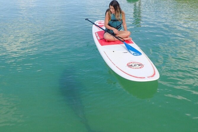 Island Tour by Pedal HOBIE / Kayak / SUP - Fort Myers Beach - Wildlife spotting, minus the guessing game