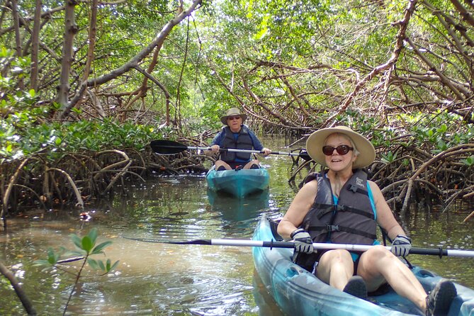 Island Tour by Pedal HOBIE / Kayak / SUP - Fort Myers Beach - Price and value: $50 for a guided wildlife water day