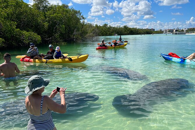 Island Tour by Pedal HOBIE / Kayak / SUP - Fort Myers Beach - The 2.5-hour flow: what happens from start to island beach