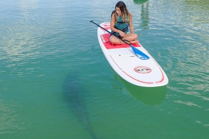 Kayak and SUP Rentals - Big Hickory Island - Fort Myers Beach, FL - Key things to know before you paddle Big Hickory Island