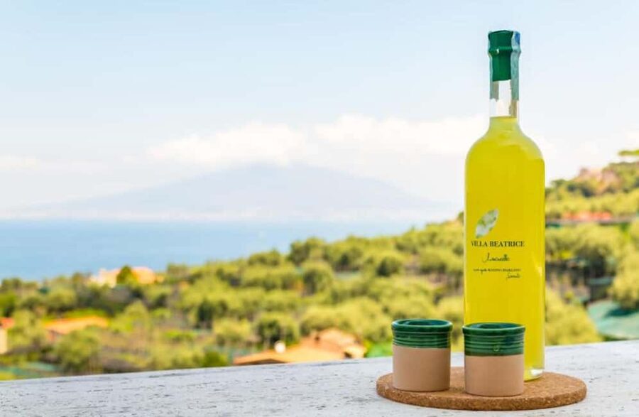 Lemon Grove Walk, Tastings, Aperitivo & Open Bar in Sorrento - Villa Beatrice to lemon groves: the easy start that sets the mood