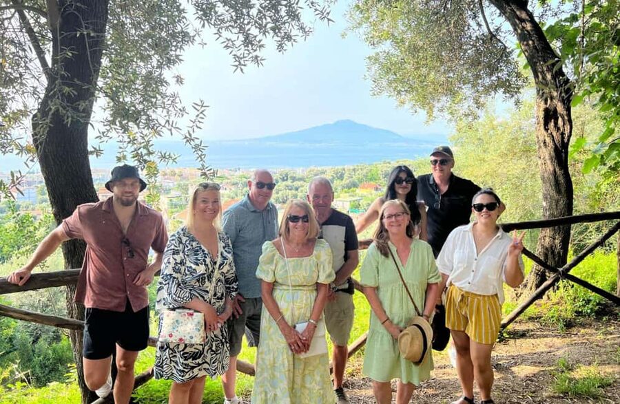 Lemon Grove Walk, Tastings, Aperitivo & Open Bar in Sorrento - Open bar and the end-of-tour toast: plan your pace