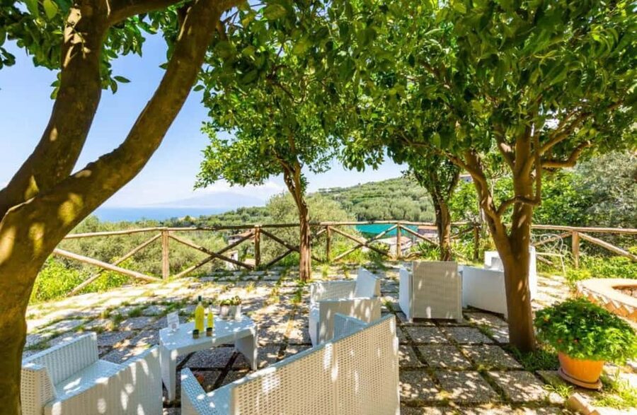 Lemon Grove Walk, Tastings, Aperitivo & Open Bar in Sorrento - The lemon culture lesson: from groves to distillate (and why it matters)