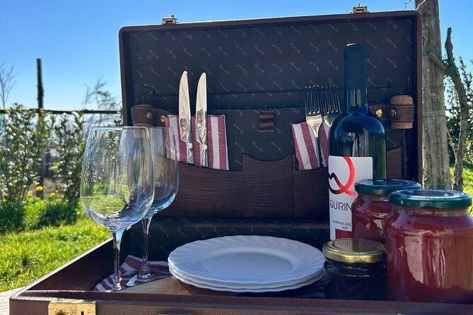 Lunch & Wine Tasting in the National Park of Mt Vesuvius - Views Over Capri and Sorrento: Timing and Comfort Tips