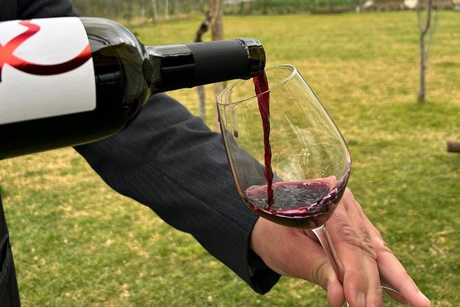 Lunch & Wine Tasting in the National Park of Mt Vesuvius - Price Check: Is $72.59 Worth It?