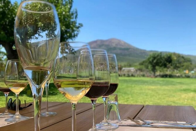 Lunch & Wine Tasting in the National Park of Mt Vesuvius - The Arrival on the Farm: Welcome, Mission, Then Food