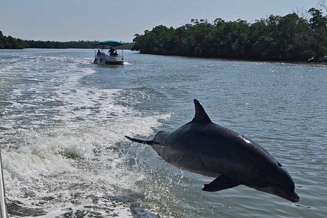 Manatee, Dolphin, and 10,000 Islands Eco Beach Tour by Boat - Key things I think are especially worth your attention