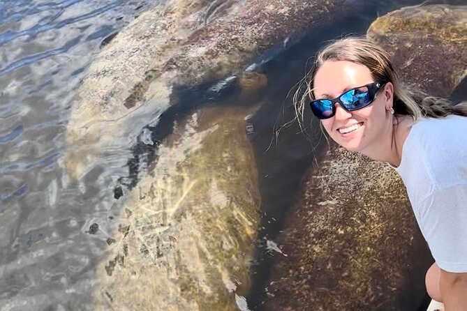 Manatee, Dolphin, and 10,000 Islands Eco Beach Tour by Boat - Price and value: is $129.99 fair for what you actually get?