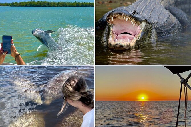 Manatee, Dolphin and 10,000 Islands Sunset Cruise! - Key highlights at a glance