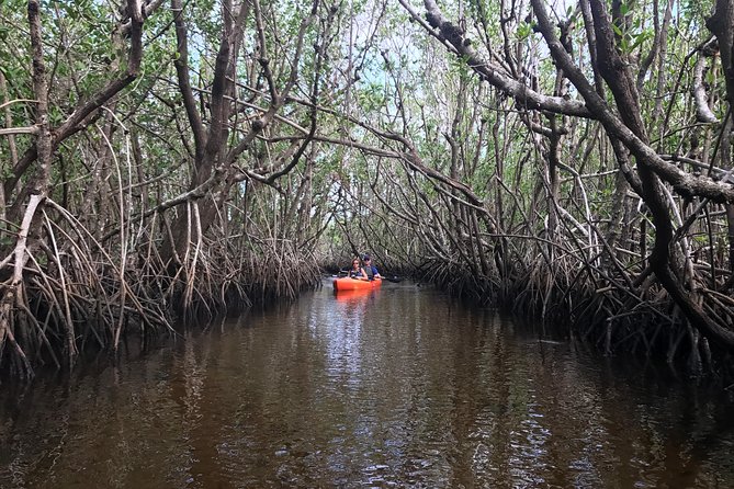Manatees and Mangrove Tunnels Small Group Kayak Tour - Mangrove Tunnels and Salt Marsh: The 2 to 2.5 Hour Show