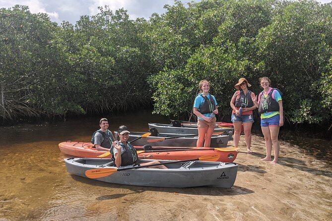 Manatees and Mangrove Tunnels Small Group Kayak Tour - Manatees in Winter: What the Tour Is Optimizing For