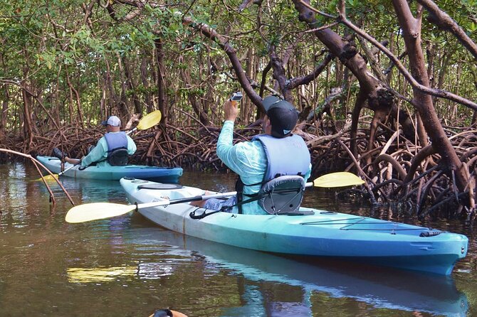 Mangrove Tunnels Kayak Tour (Photographer Included)- Marco Island - The kayak setup: single-seaters, tandem limits, and weight notes