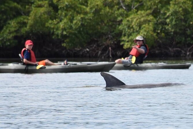Mangrove Tunnels Kayak Tour (Photographer Included)- Marco Island - Your guide, jokes, and the photo drop you’ll actually use