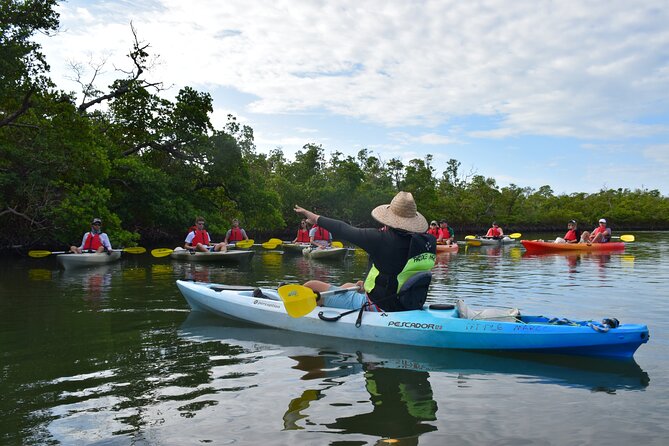 Mangrove Tunnels Kayak Tour (Photographer Included)- Marco Island - Bring list that keeps the day comfortable