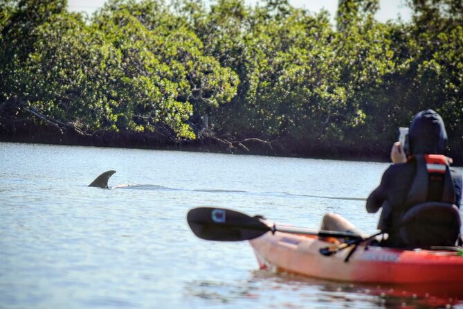 Mangrove Tunnels Kayak Tour (Photographer Included)- Marco Island - Who this tour fits best (and who should pass)