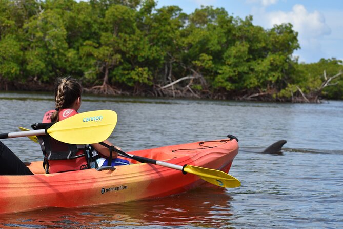 Mangrove Tunnels Kayak Tour (Photographer Included)- Marco Island - What actually happens on the water near Marco Island