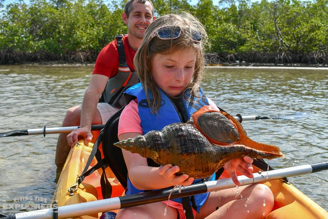 Mangrove Tunnels & Mudflats Kayak Tour - Local Biologist Guides - Why Rookery Bay’s mangrove tunnels are worth the $69.99