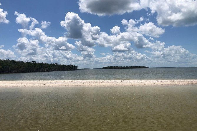Marco Island 2 hour Dolphin, Birding and Shelling tour - Getting on the water from Goodland, Florida (and why it matters)