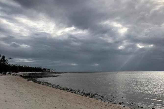 Marco Island 2 hour Dolphin, Birding and Shelling tour - Weather and timing: when the day goes right