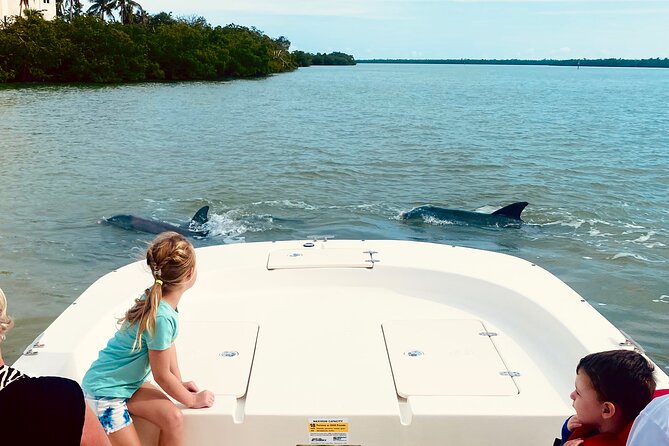 Marco Island and 10,000 Islands Sightseeing with Dolphin Tour - Key Things to Know Before You Go