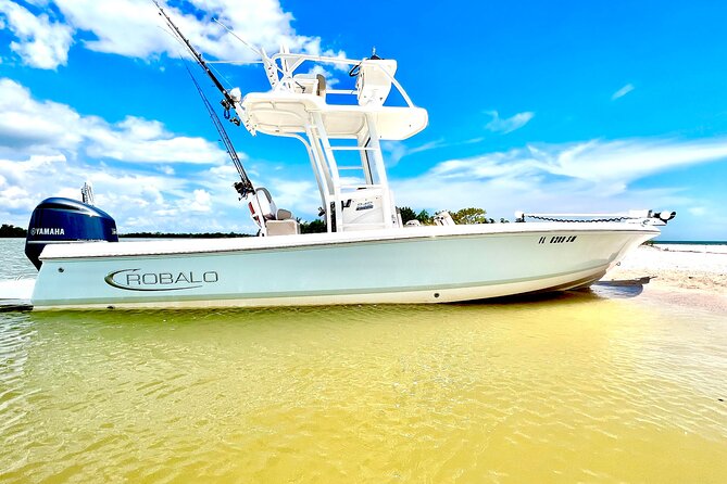 Marco Island Dolphin & Eco Tour – Private 2 Hour Wildlife Cruise - Key Points Before You Go