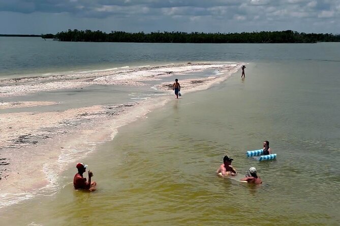 Marco Island Dolphin & Eco Tour – Private 2 Hour Wildlife Cruise - Price and Value: What $400 Per Group Really Means