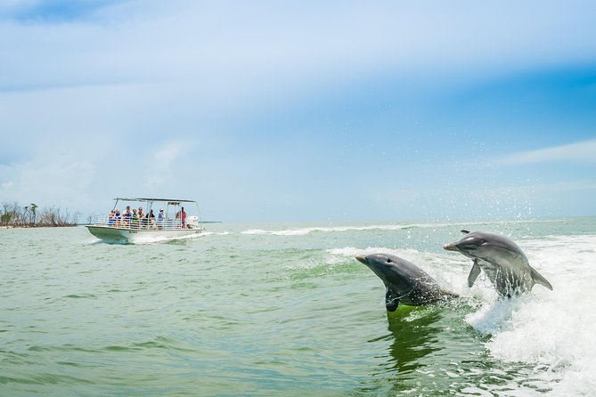 Marco Island Dolphin Sightseeing Tour - Key things I’d focus on before you book