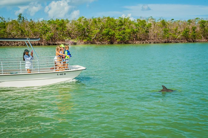 Marco Island Dolphin Sightseeing Tour - Why the Ten Thousand Islands feel different from a basic dolphin cruise