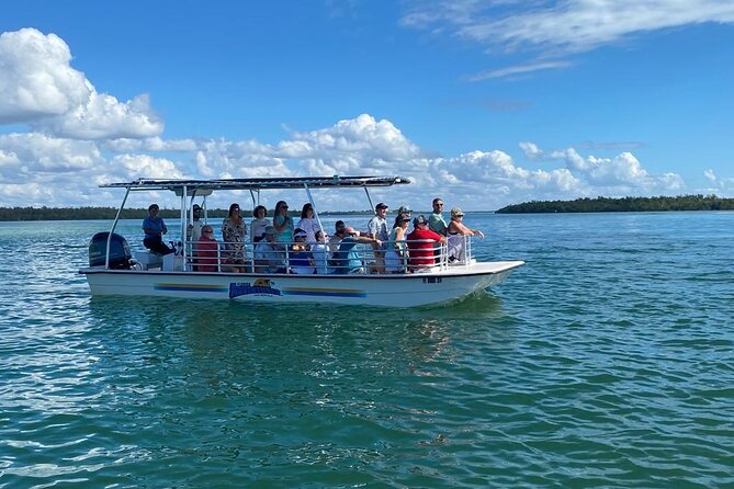 Marco Island Dolphin Sightseeing Tour - Live ecosystem commentary: the difference between spotting and understanding