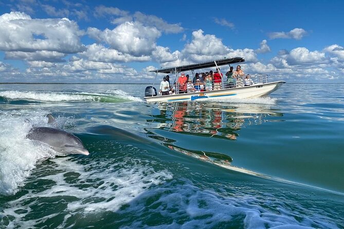 Marco Island Dolphin Sightseeing Tour - Guides and captains: what recent crew members are praised for