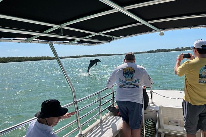 Marco Island Dolphin Sightseeing Tour - Birds on a dolphin tour: why that add-on is more than just a bonus