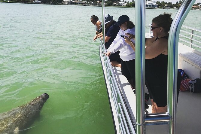 Marco Island Dolphin Sightseeing Tour - What’s included vs. what costs extra
