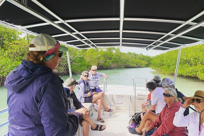 Marco Island Dolphin Sightseeing Tour - Value check: when this feels like a smart use of your Naples time