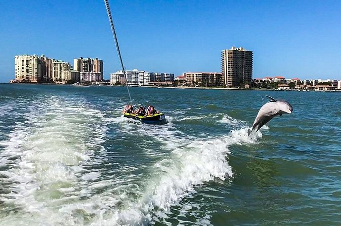 Marco Island Dolphin Watching & Tubing Adventure - Who should book this dolphin-watching and tubing adventure