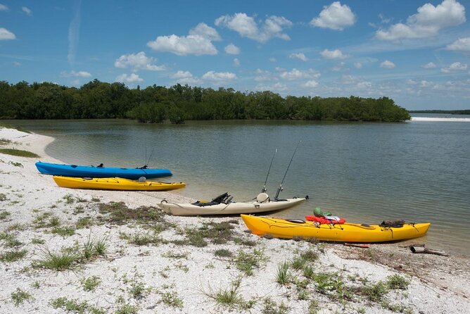 Marco Island Inshore Fishing Charters - Quick Highlights to Know Before You Go