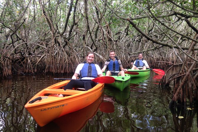 Marco Island Mangrove Tunnel and Maze Adventure Small group size - Key Highlights You Should Know Before You Go