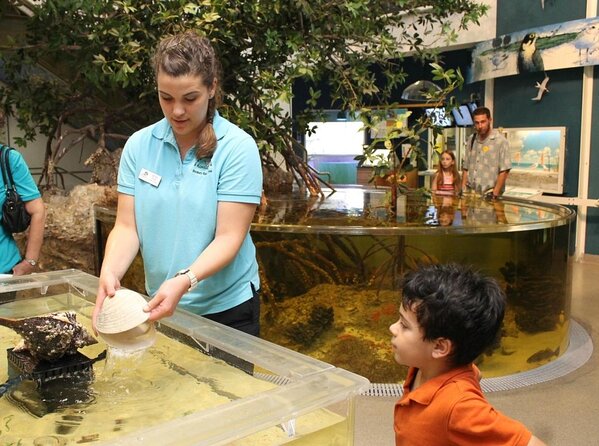 Marco Island Mangrove Tunnel and Maze Adventure Small group size - Rookery Bay: Your 2-Hour Circuit Through Tunnels and Open Water