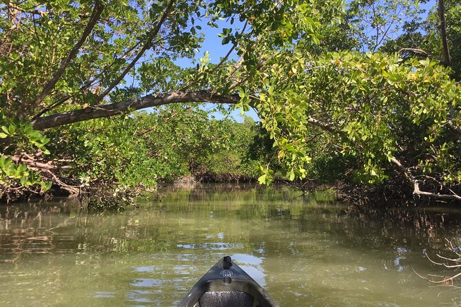Marco Island Mangrove Tunnel and Maze Adventure Small group size - What’s Included (and Why It’s Good Value for $59)