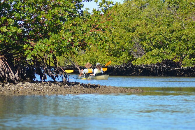 Marco Island Mangrove Tunnel and Maze Adventure Small group size - Timing From Naples: Morning, Midday, and Midafternoon Starts