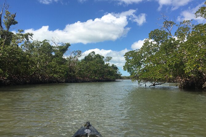 Marco Island Mangrove Tunnel and Maze Adventure Small group size - Who This Tour Fits Best (and Who Might Want Another Plan)