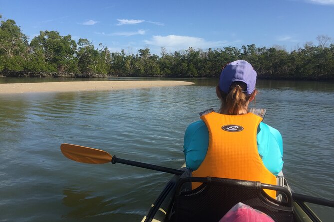 Marco Island Mangrove Tunnel and Maze Adventure Small group size - Wildlife Spotting: Ospreys, Pelicans, Fish Leaps, and Dolphin Chances